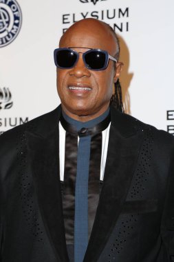 şarkıcı Stevie Wonder