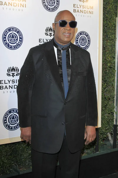  şarkıcı Stevie Wonder