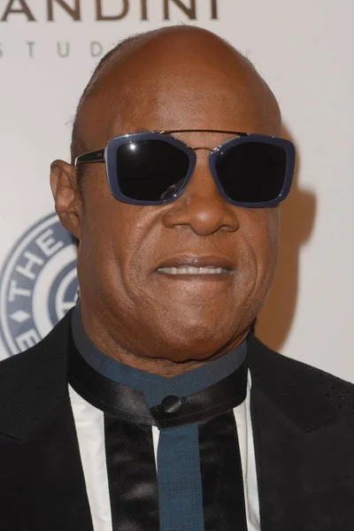 Sänger Stevie Wonder — Stockfoto