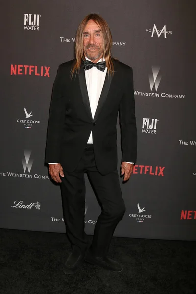 Cantante Iggy Pop — Foto de Stock