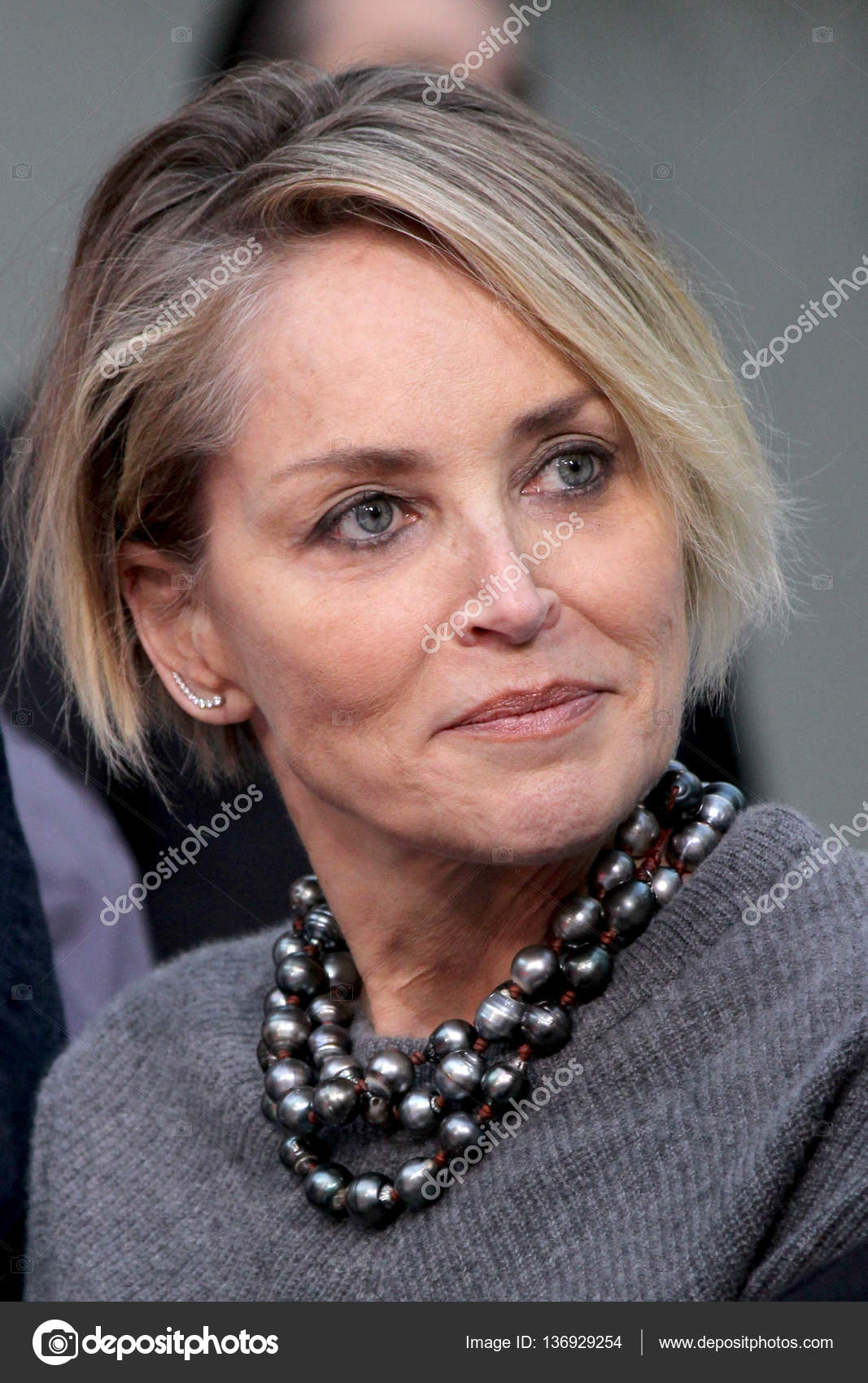 Sharon Stone naked (47 foto) Tits, YouTube, butt