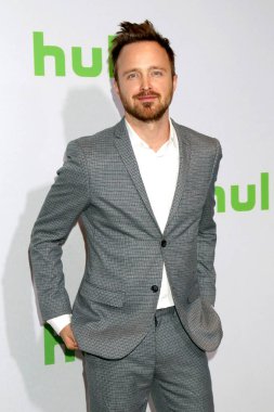 Aktör Aaron Paul