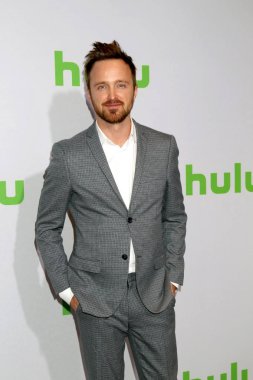 Aktör Aaron Paul