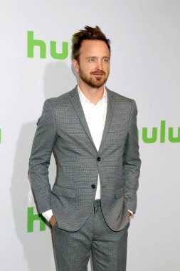 Aktör Aaron Paul