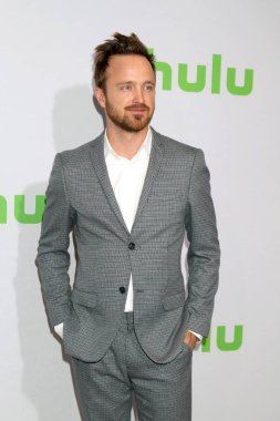 Aktör Aaron Paul