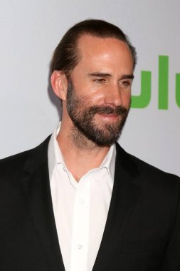 Aktör Joseph Fiennes