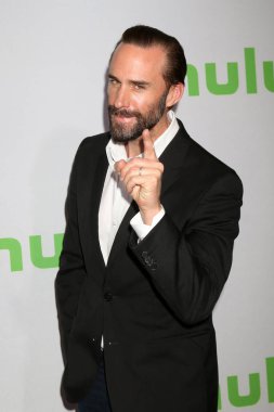 Aktör Joseph Fiennes