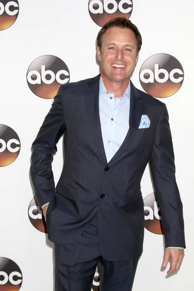 El actor Chris Harrison — Foto de Stock