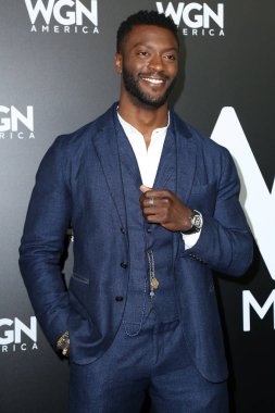 aktör Aldis Hodge 