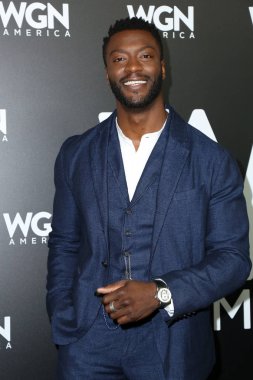 aktör Aldis Hodge 