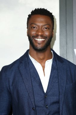aktör Aldis Hodge 