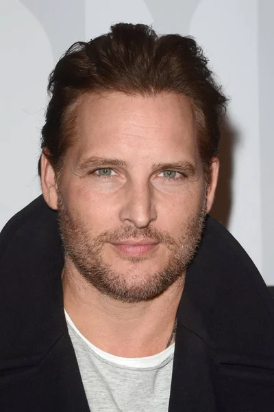 Actor Peter Facinelli — Stock Photo, Image