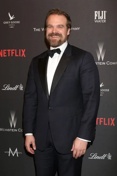 Attore David Harbour — Foto Stock