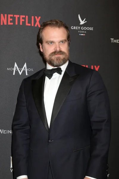 Skådespelaren David Harbour — Stockfoto