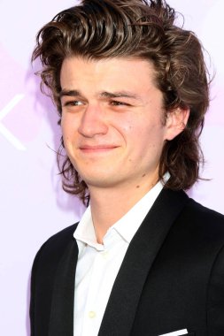 aktör Joe Keery