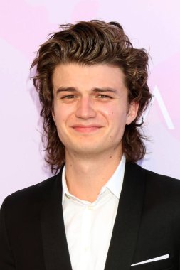 aktör Joe Keery