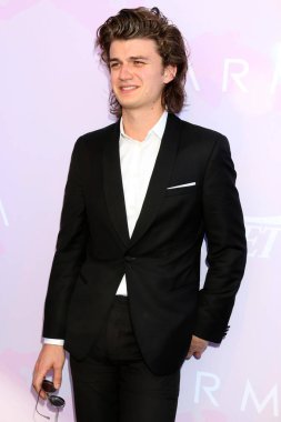 aktör Joe Keery