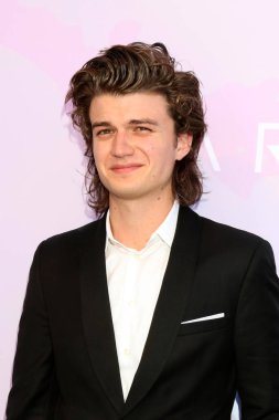 aktör Joe Keery