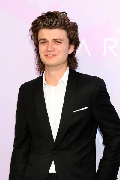 Aktör Joe Keery — Stok fotoğraf