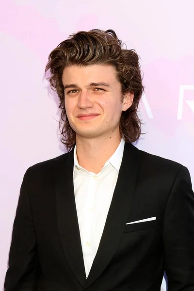 Attore Joe Keery — Foto Stock