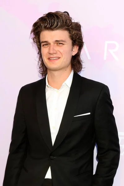 Attore Joe Keery — Foto Stock