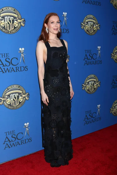 Actrice Darby Stanchfield — Photo