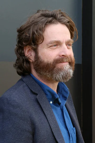 Schauspieler zach galifianakis — Stockfoto