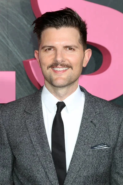 Actor Adam Scott — Stock Photo, Image