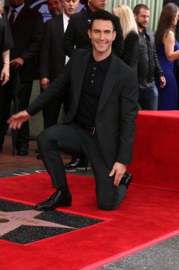 Şarkıcı Adam Levine