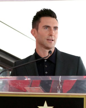 Şarkıcı Adam Levine