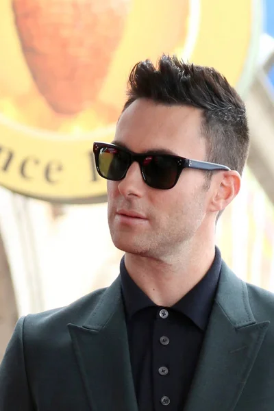 Cantante Adam Levine — Foto de Stock