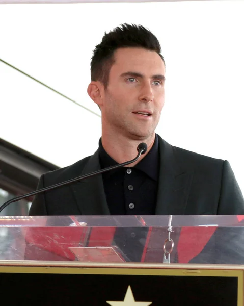 Singer Adam Levine — Stock Photo, Image