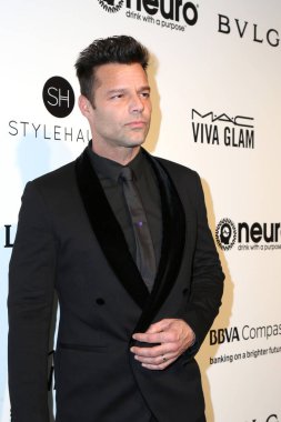  şarkıcı Ricky Martin