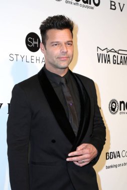  şarkıcı Ricky Martin
