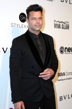  şarkıcı Ricky Martin