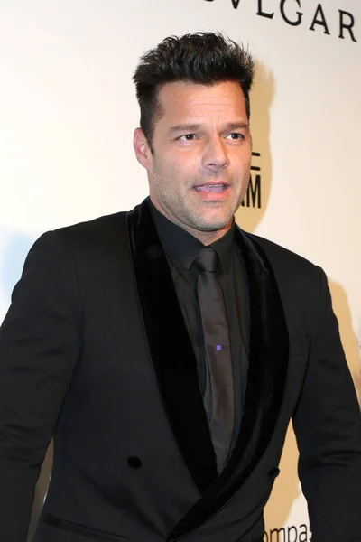 Cantante Ricky Martin — Foto de Stock