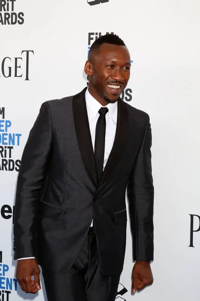 Agente Mahershala Ali —  Fotos de Stock