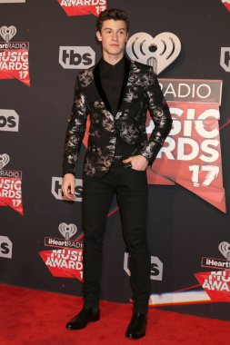 şarkıcı Shawn Mendes