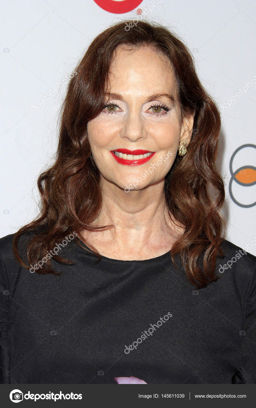 2019 year - Lesley Ann Warren 2019 year