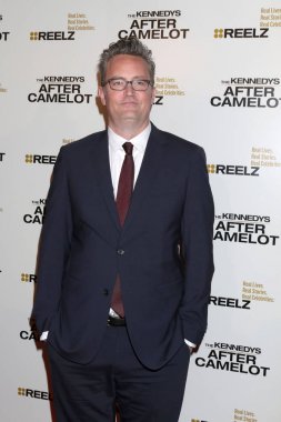 aktör Matthew Perry