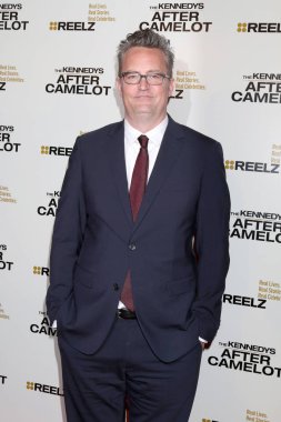 aktör Matthew Perry