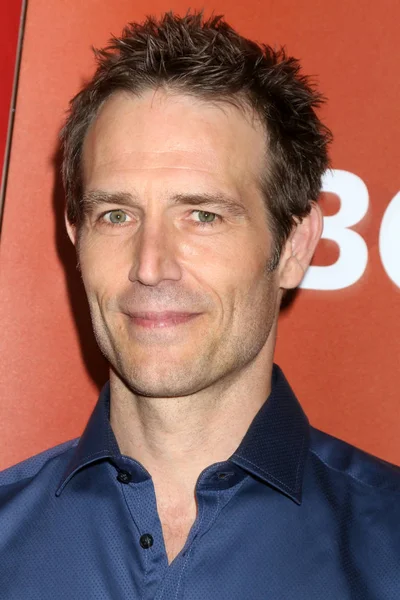 Actor Michael Vartan — Stock Photo, Image