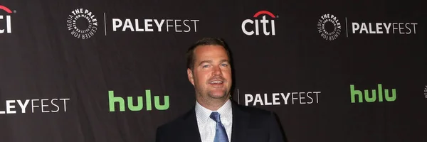 Acteur Chris Odonnell — Stockfoto