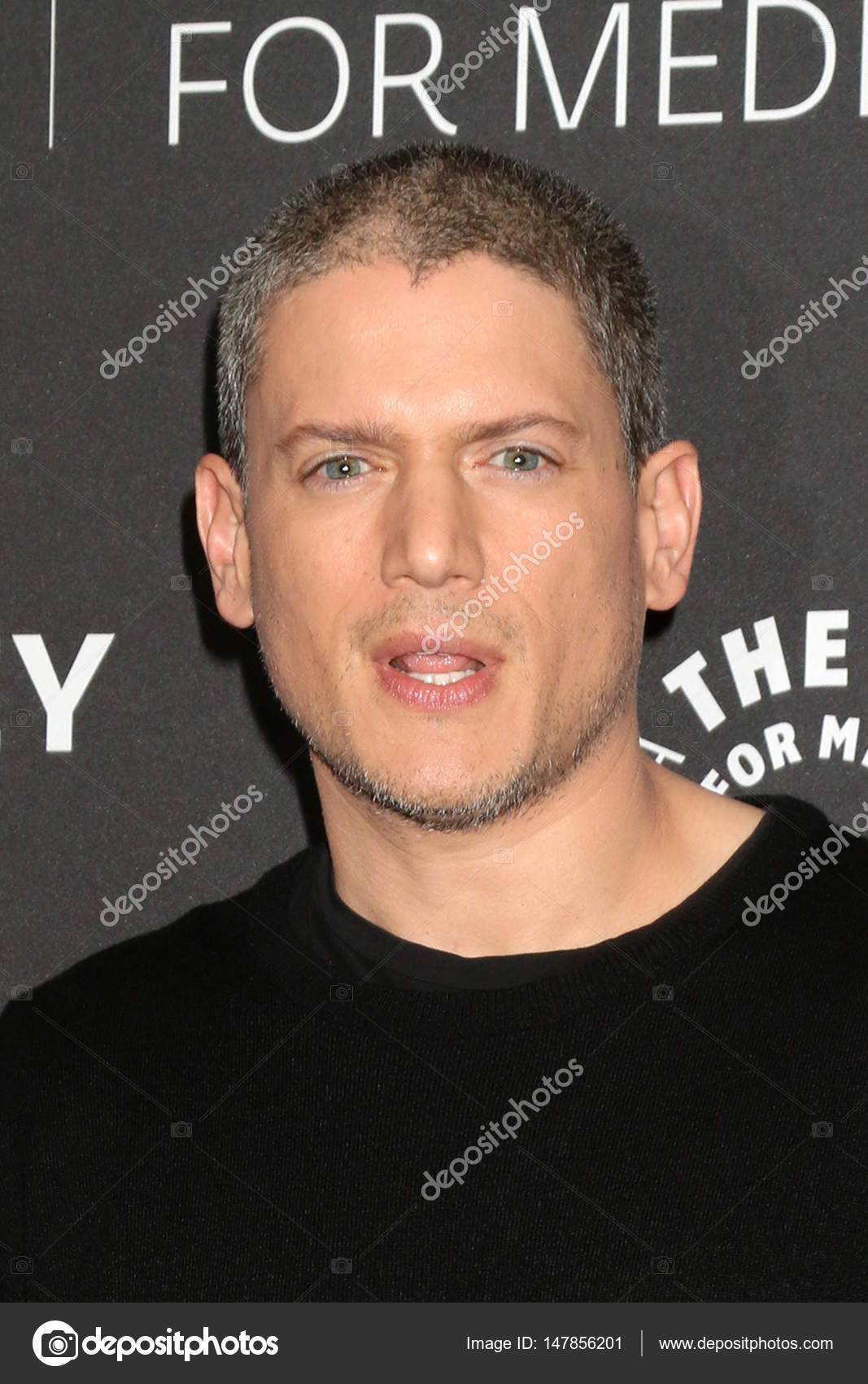 Wentworth Miller Smile