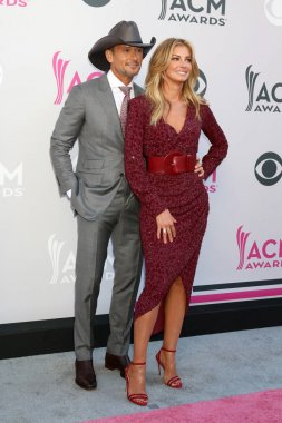 Tim mcgraw ve faith hill