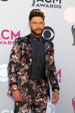 şarkıcı Chris Lane