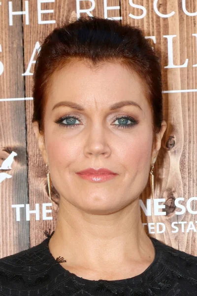 Attrice Bellamy Young — Foto Stock