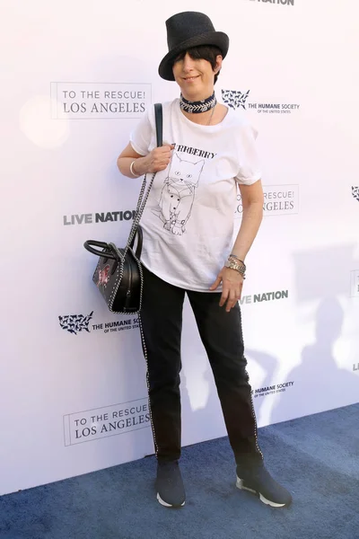 Cantautore Diane Warren — Foto Stock