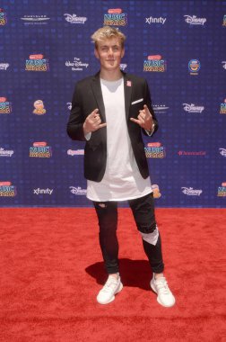 aktör Jake Paul