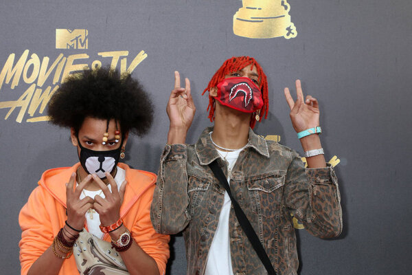 Ayo, Teo at the MTV Movie and Television Awards
